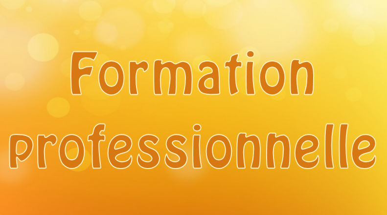 Formation pro 2